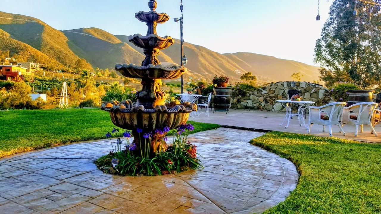 Vina Calabria Acomodação com café da manhã Valle de Guadalupe Exterior foto