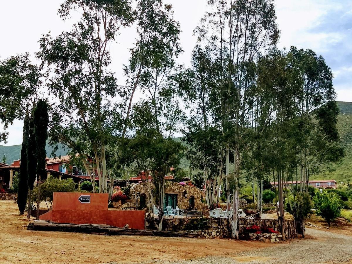 Vina Calabria Acomodação com café da manhã Valle de Guadalupe Exterior foto