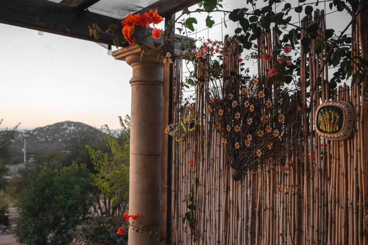Vina Calabria Acomodação com café da manhã Valle de Guadalupe Exterior foto