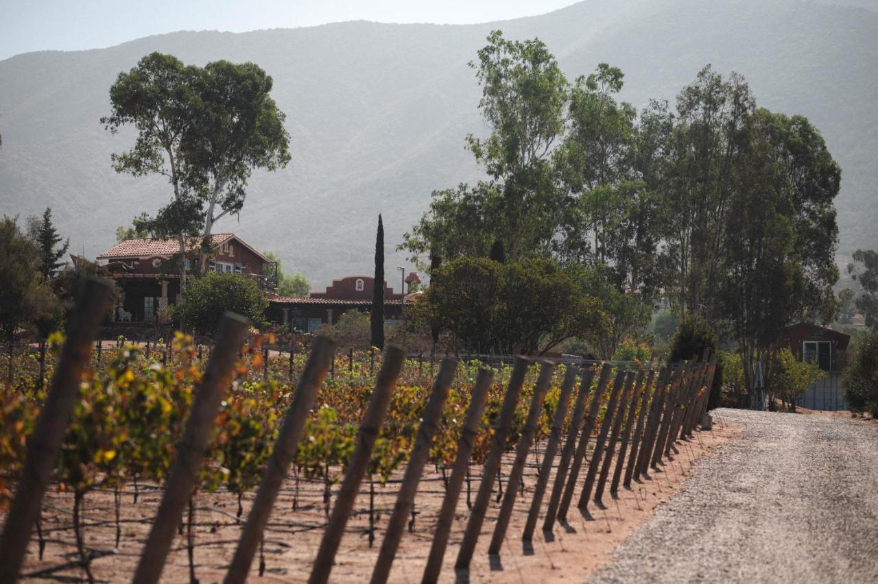 Vina Calabria Acomodação com café da manhã Valle de Guadalupe Exterior foto