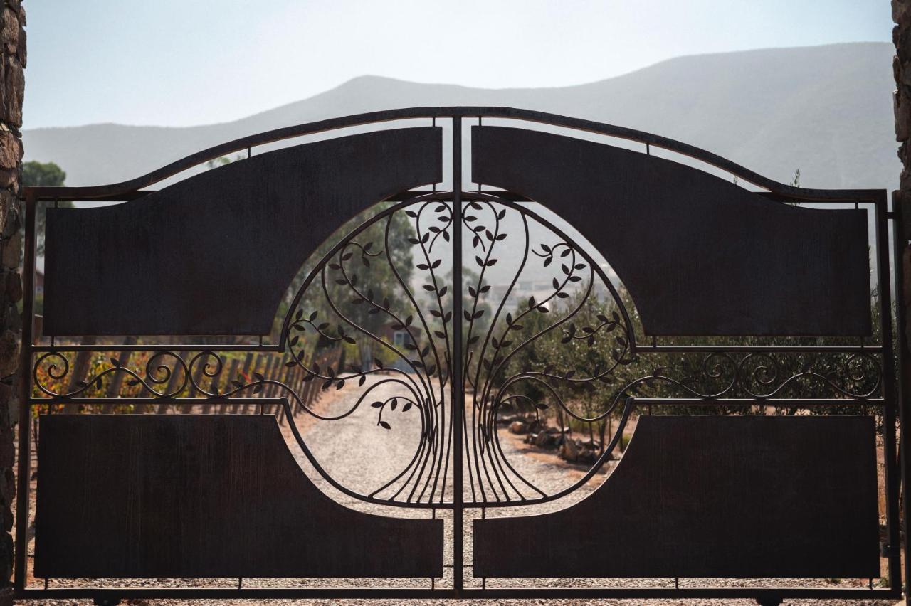 Vina Calabria Acomodação com café da manhã Valle de Guadalupe Exterior foto