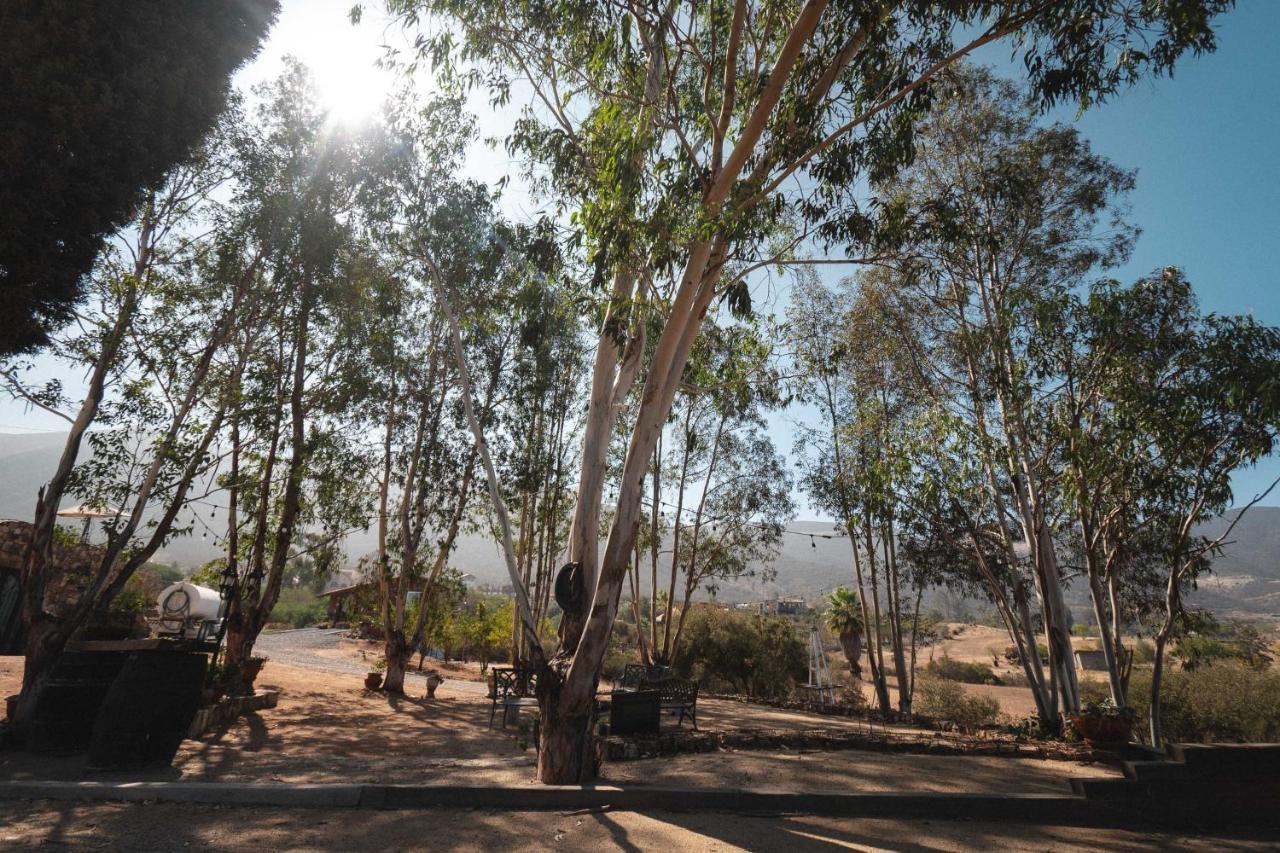Vina Calabria Acomodação com café da manhã Valle de Guadalupe Exterior foto