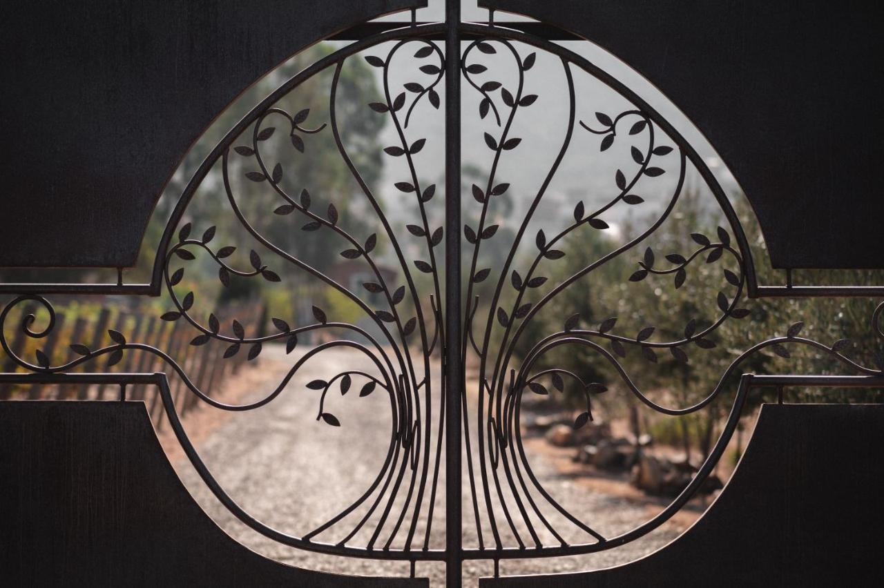 Vina Calabria Acomodação com café da manhã Valle de Guadalupe Exterior foto