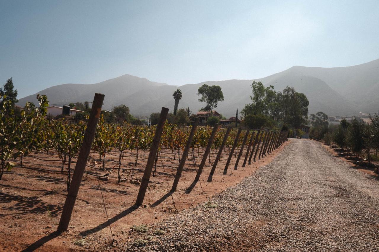Vina Calabria Acomodação com café da manhã Valle de Guadalupe Exterior foto