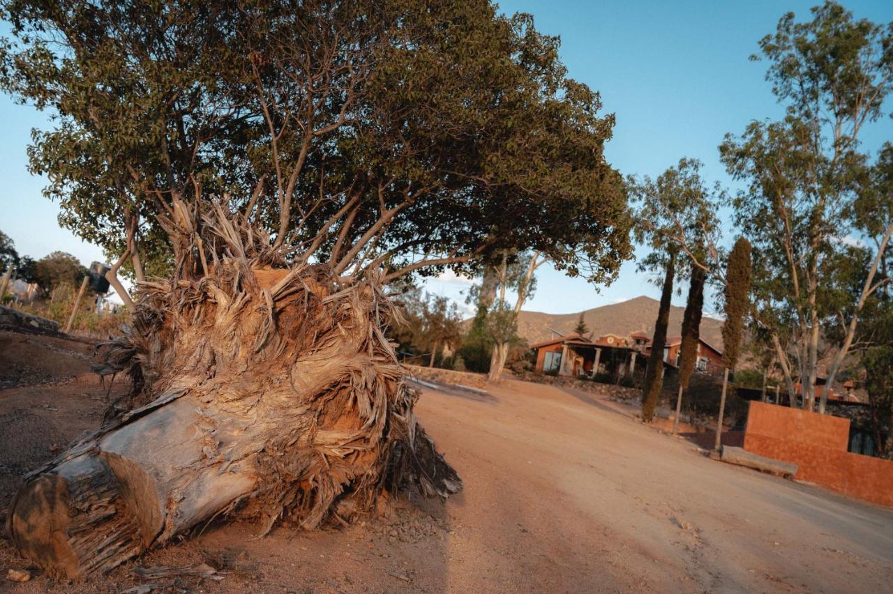 Vina Calabria Acomodação com café da manhã Valle de Guadalupe Exterior foto