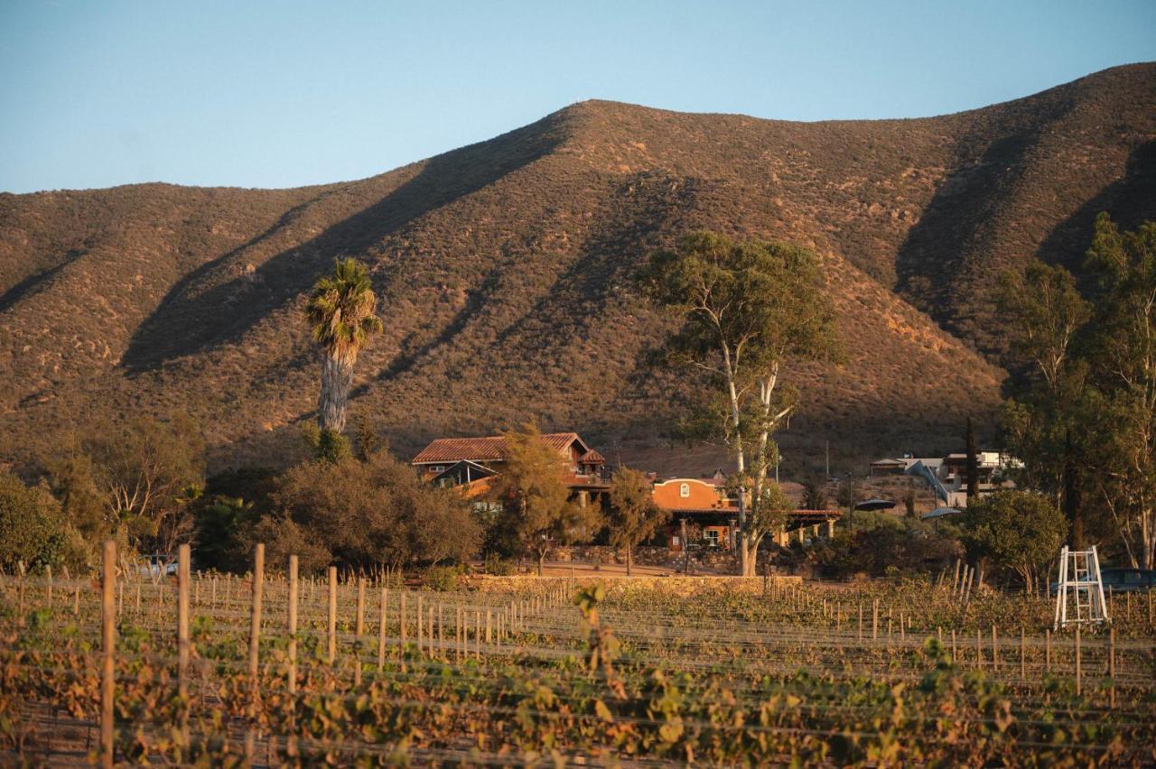 Vina Calabria Acomodação com café da manhã Valle de Guadalupe Exterior foto